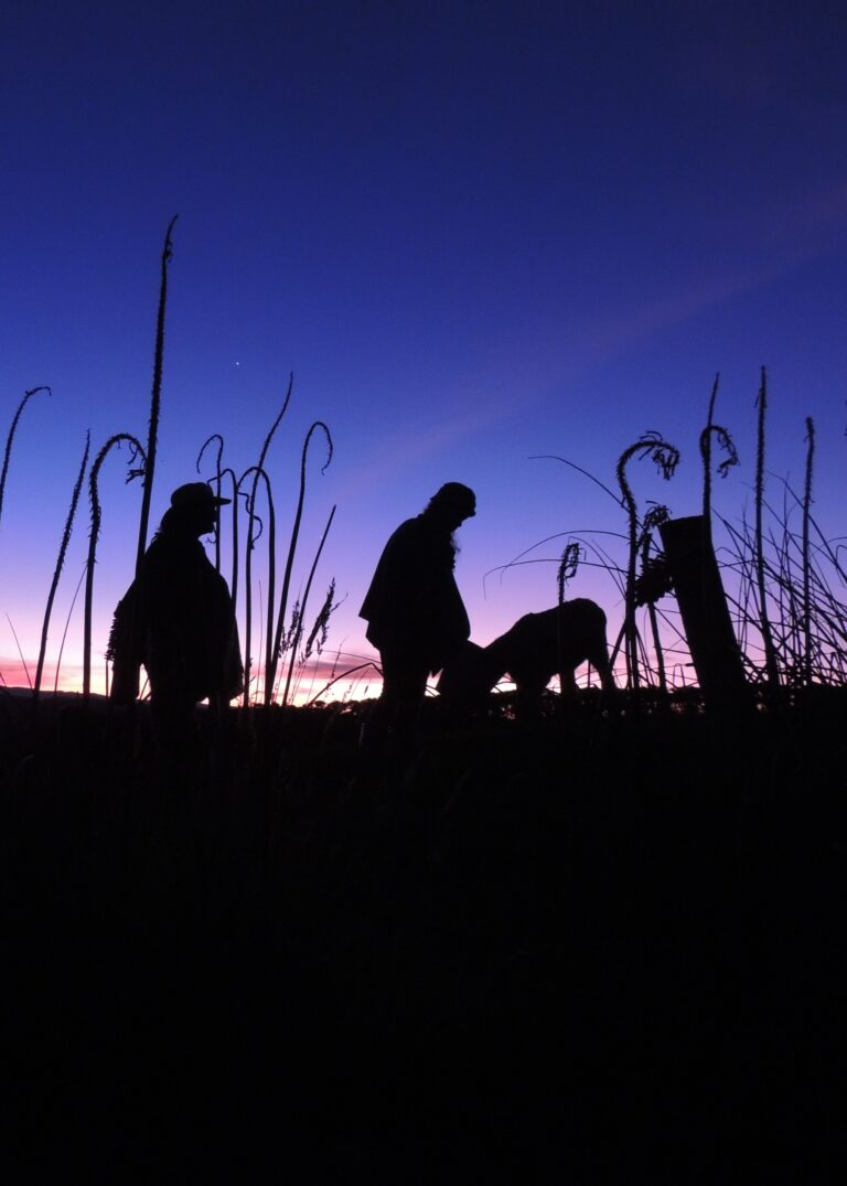 Ganadores 3° lugar concurso de fotografía «captura la magia de tu municipio»