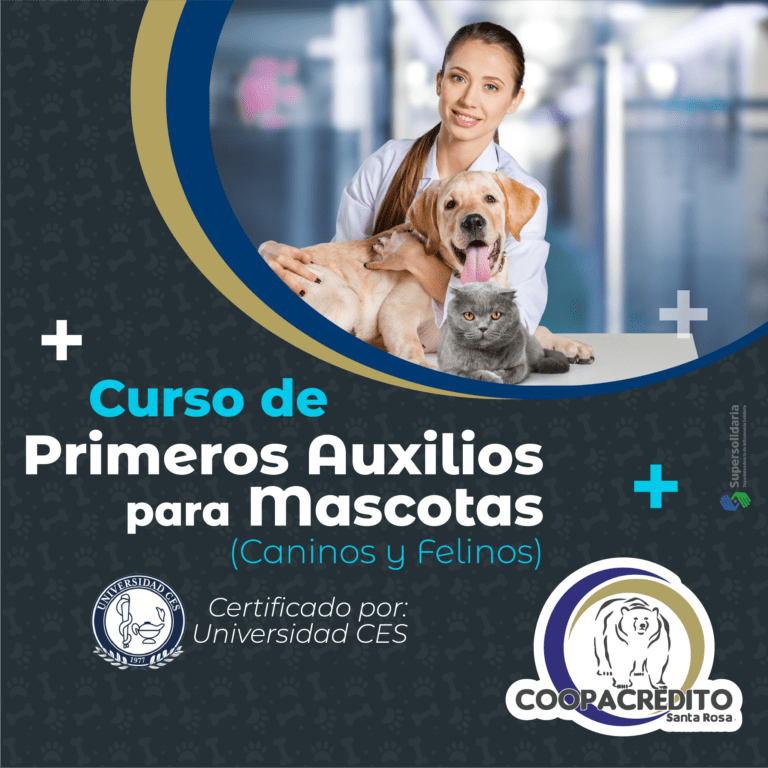🐾🚑 ¡Prepárate para actuar cuando tu mascota más te necesite!